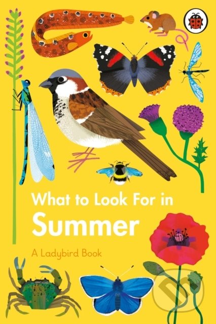 What to Look For in Summer - Elizabeth Jenner, Ladybird Books, 2021