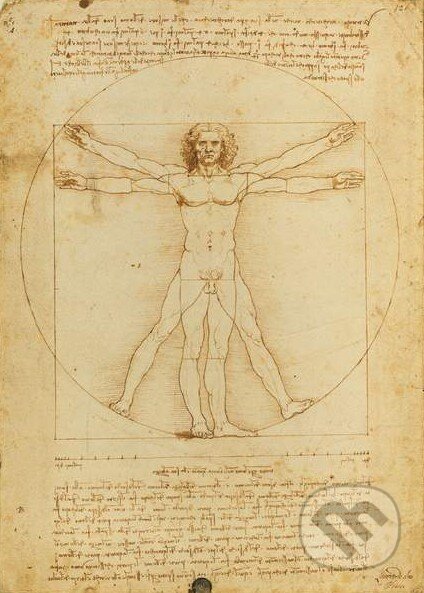 Leonardo, Vitruvian Man, Clementoni