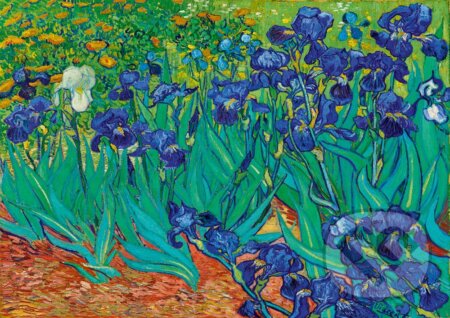 Vincent Van Gogh - Irises, 1889, Bluebird, 2021