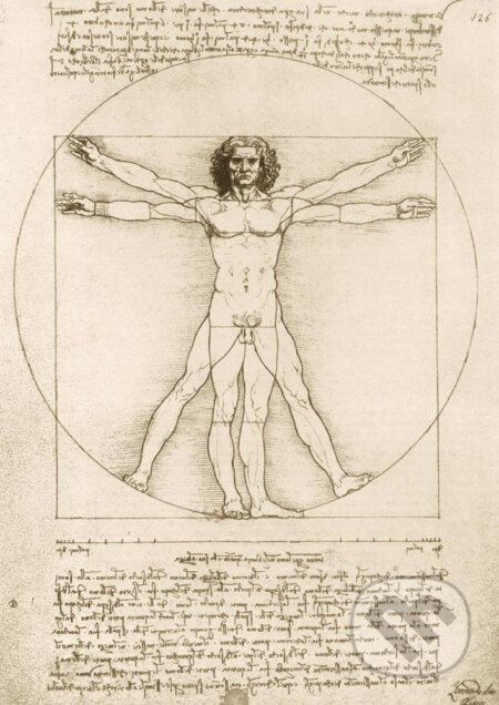 Leonardo Da Vinci - The Vitruvian Man, 1490, Bluebird, 2021
