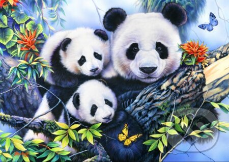 Panda Family, Bluebird, 2021