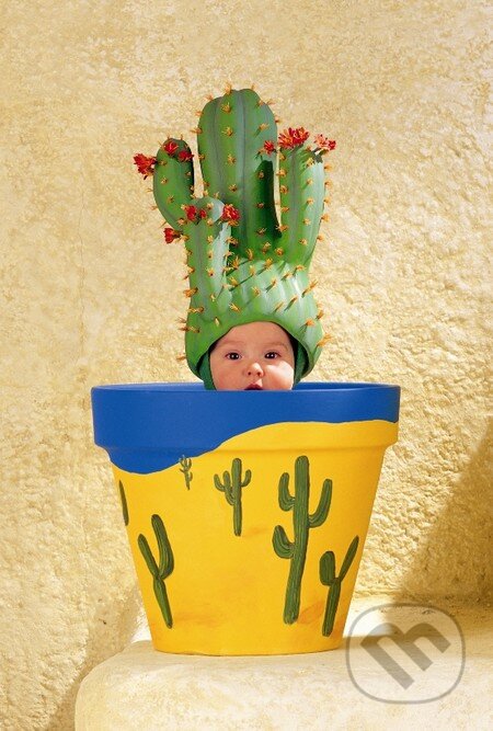 Môj malý zelený kaktus - Anne Geddes, Schmidt