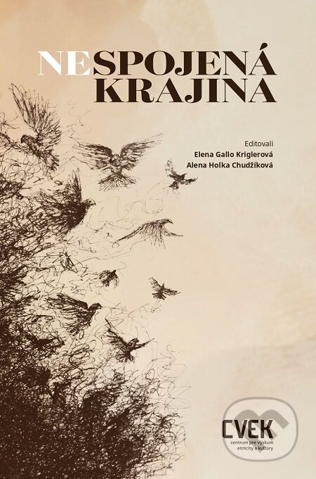 Nespojená krajina - Kriglerová Gallo Elena, Chudžíková Holka Alenka (eds.), Centrum pre výskum etnicity a kultúry