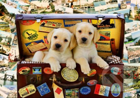 Two Travel Puppies, Bluebird, 2021
