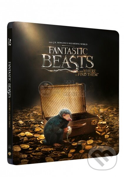 Fantastická zvířata a kde je najít  3D Steelbook - David Yates, Filmaréna, 2017