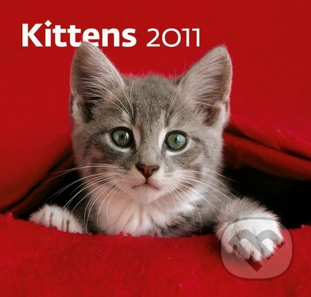 Kittens 2011, Helma, 2010