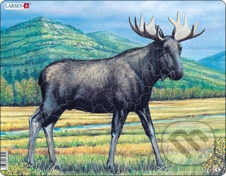 Los DT1 - puzzle z kategorie Naučné puzzle