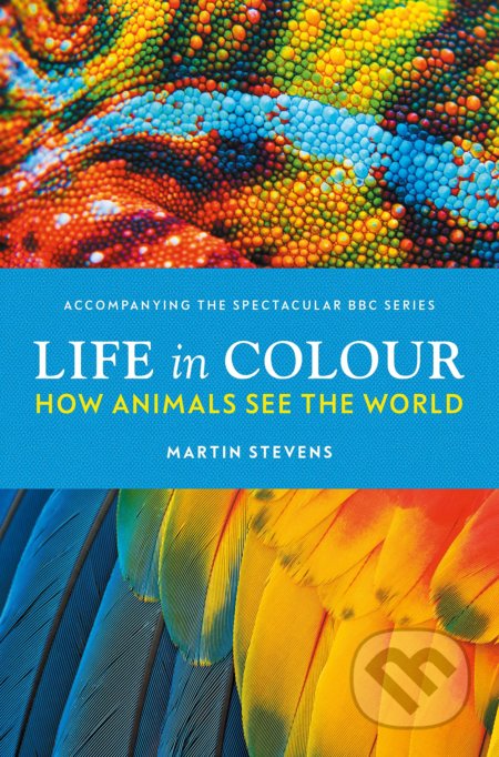 Life in Colour - Martin Stevens, BBC Books, 2021