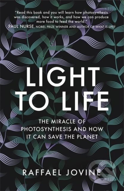 Light to Life - Raffael Jovine, Short Books, 2021