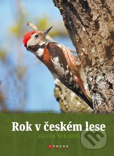 Rok v českém lese - Julius Klejdus, CPRESS, 2021