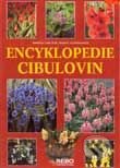 Encyklopedie cibulovin - Kolektiv autorů, Rebo, 2001