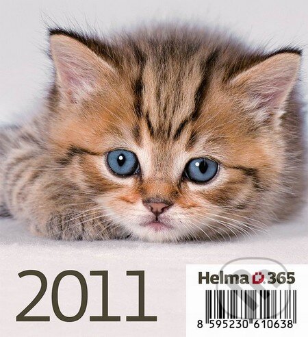 Mačky 2011, Helma, 2010