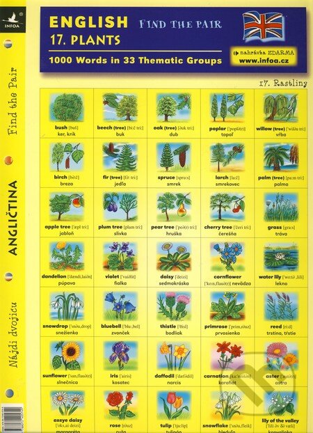 English - Find the Pair 17. (Plants), INFOA