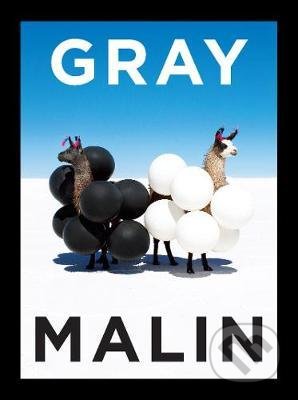 Gray Malin (The Essential Collection) - Gray Malin - kniha z kategorie Fotografie