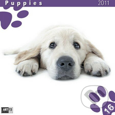 Puppies 2011, Presco Group, 2010