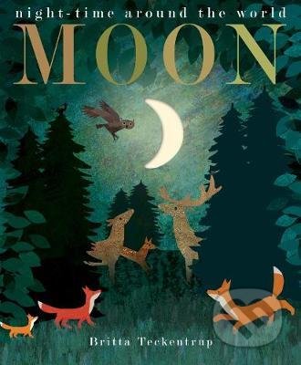 Moon - Patricia Hegarty, Britta Teckentrup (ilustrátor), Little Tiger, 2018