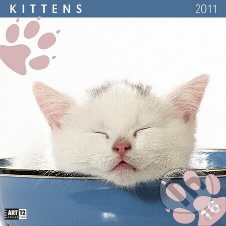 Kittens 2011, Presco Group, 2010