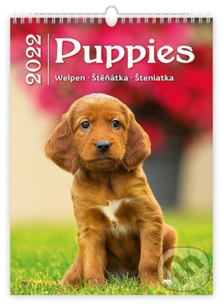 Nástěnný kalendář &quot;Puppies /Welpen /Štěňátka / Šteniatka&quot; 2022, Helma365, 2021