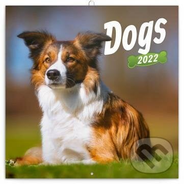 Poznámkový kalendář Dogs 2022, Presco Group, 2021