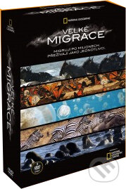 Great Migration, Magicbox, 2010
