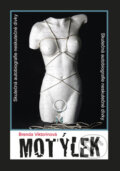 Kniha: Motýlek (Brenda Viktorinová). Akcent, 2011