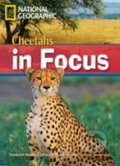Kniha: Cheetahs in Focus (Heinle Cengage Learning). Heinle Cengage Learning