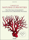 Albertus Seba - Cabinet of Natural Curiosities - Irmgard Müsch, Jes Rust, Rainer Willmann, Taschen