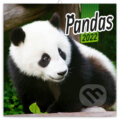 Poznámkový kalendár Pandas 2022, Presco Group, 2021