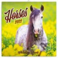 Poznámkový kalendář Horses 2022 - Christiane Slawik, Presco Group, 2021