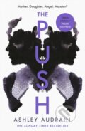 E-kniha: The Push (Ashley Audrain)