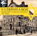 Kniha: V utrpení a boji (Autorský kolektív). Moravské zemské muzeum, 2016