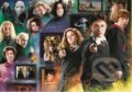 Puzzle: Harry Potter: Kouzelnický svět (Trefl). Trefl, 2021