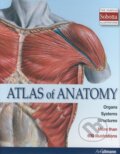 Atlas of Anatomy, Ullmann, 2011