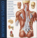 The Human Body, Loft Publications