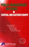 Kniha: Public Management Reforms in Central and Eastern Europe (Geert Bouckaert, Juraj Nemec a kolektív). NISPACee Press, 2009
