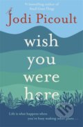 Wish You Were Here - Jodi Picoult, Hodder and Stoughton, 2021