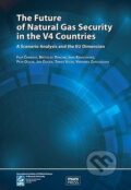 Kniha: The Future of Natural Gas Security in the V4 Countries (Filip Černoch)