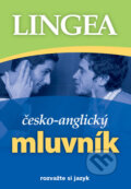 Česko-anglický mluvník - Kolektiv autorů, Lingea, 2008