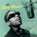 Hudobné CD: Stevie Wonder: I Call It Pretty Music, But The Old People Call It The Blues LP (Hudobné albumy)
