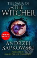 The Saga of the Witcher - Andrzej Sapkowski, Orion, 2020