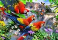 Ostrov papoušků 2v1, dřevěné, 2022
