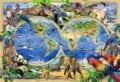 Mapa Království zvířat 2v1, dřevěné, WOODENCITY, 2022