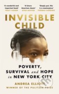Invisible Child - Andrea Elliott, Cornerstone, 2022