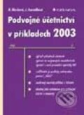 Podvojné účetnictví v příkladech 2003 - Beata Blechová, Jana Janoušková, Grada, 2003