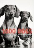 Kniha: 1000 Dogs (Raymond Merritt). Taschen, 2003