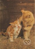 Ginger Cats, Clementoni, 2013