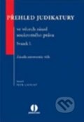Přehled judikatury ve věcech zásad soukromého práva - Svazek I. - Petr Lavický, 2012