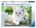 Bílé kotě, Ravensburger, 2022