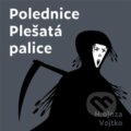 Polednice Plešatá palice - Honza Vojtko, Tympanum, 2022