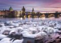 Puzzle: Prague, Swans (Schmidt). Schmidt, 2022
